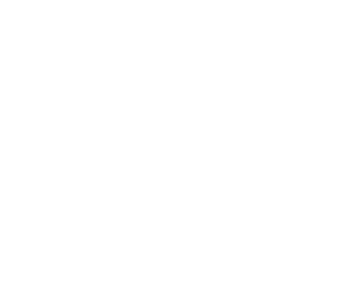 IDI Logo