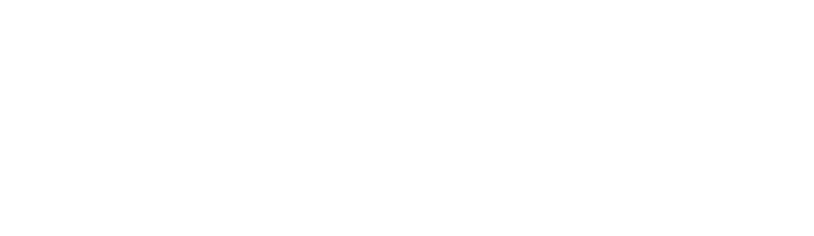 IRB 50 Anos