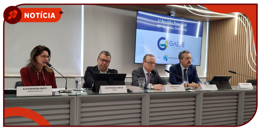 capa_gaepe_brasil_reunião